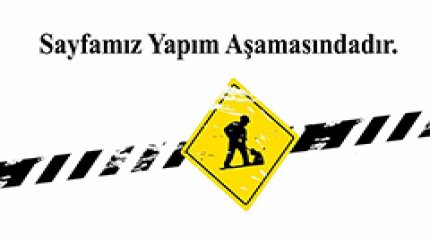 Site Kullanım Koşulları